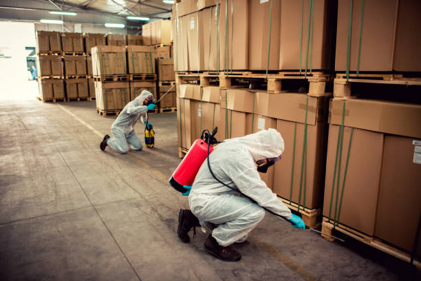 Best Residential Pest Control  in Dewey, OK