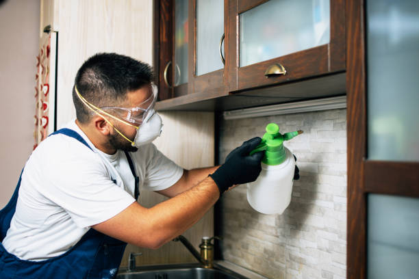 Best Mosquito Control Services  in Dewey, OK