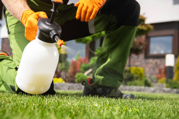 Best Best Pest Control Companies  in Dewey, OK