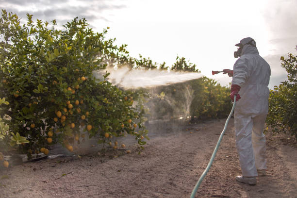 Best Pest Control Near Me  in Dewey, OK
