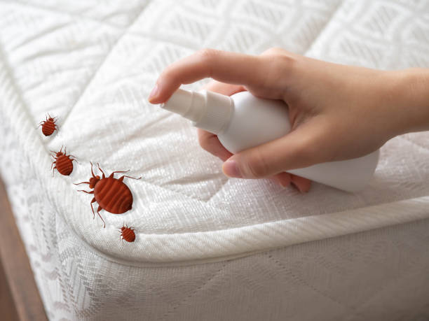 Best Emergency Pest Control  in Dewey, OK