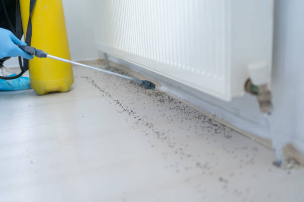 Best Pest Control Near Me in Dewey, OK