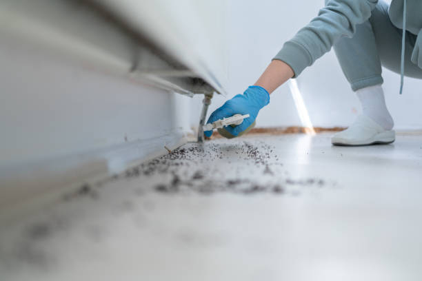 Best Commercial Pest Control Services  in Dewey, OK